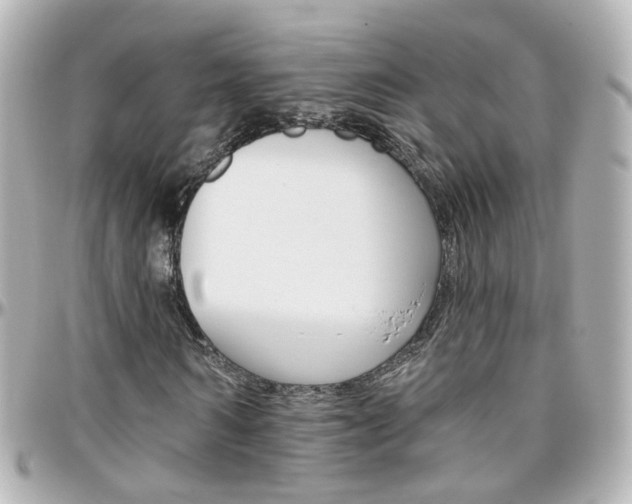 X0000096410962200801241022