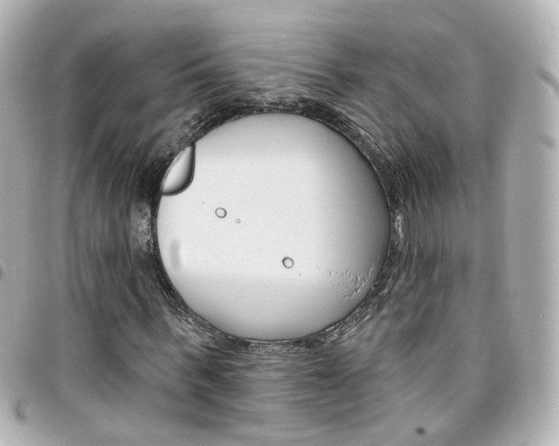 X0000096410963200801241022