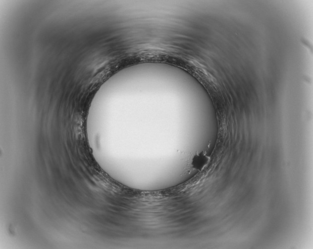 X0000096410964200801241022