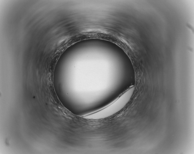 X0000096410965200801241022
