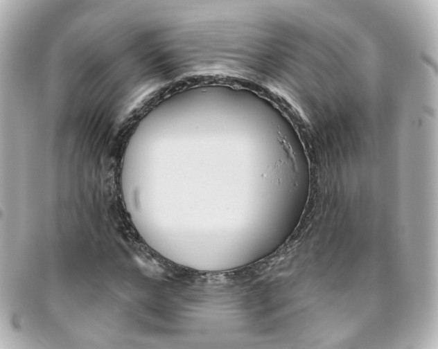 X0000096410968200801241021