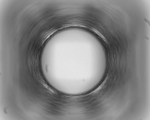X0000096410969200801241021