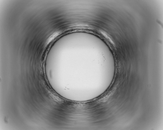 X0000096410970200801241021
