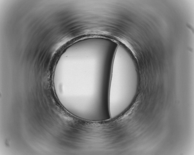X0000096410971200801241021