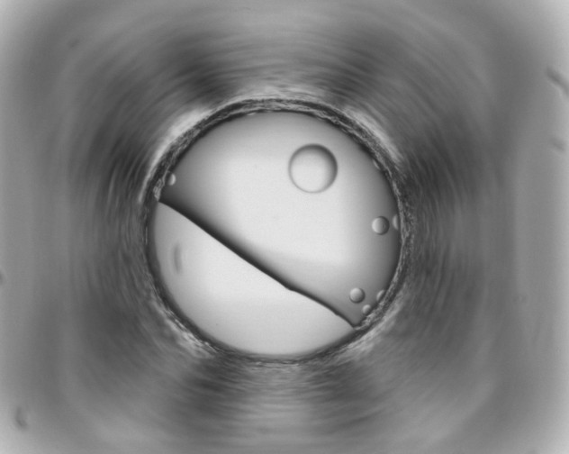 X0000096410974200801241021