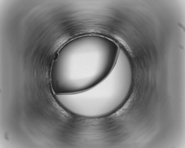 X0000096410977200801241021