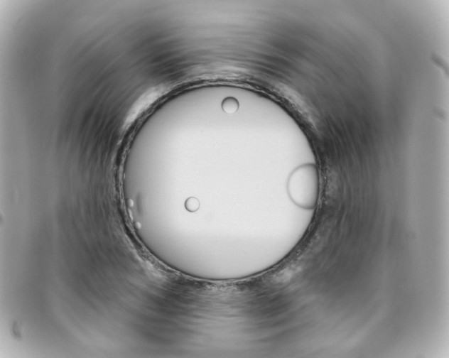 X0000096410978200801241021