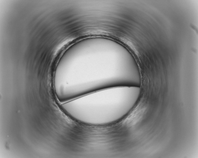 X0000096410979200801241021