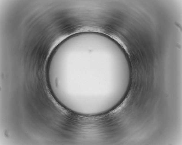 X0000096410981200801241021