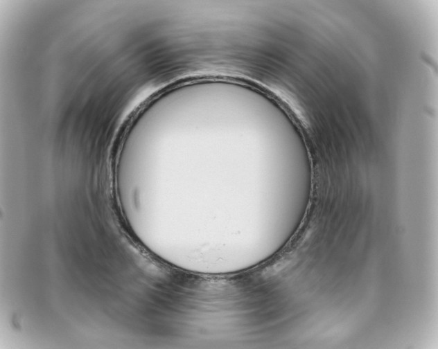 X0000096410982200801241021