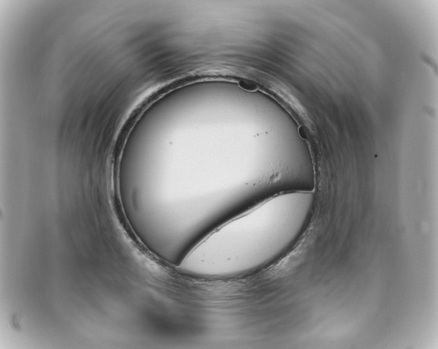 X0000096410984200801241021