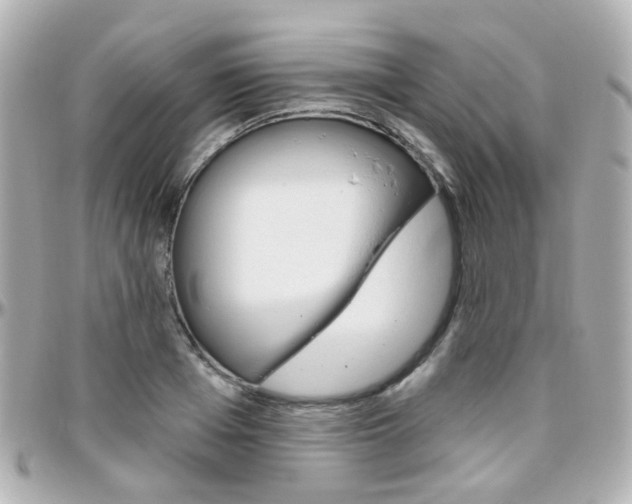 X0000096410985200801241021