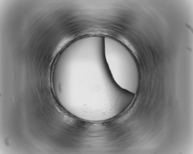 X0000096410986200801241021