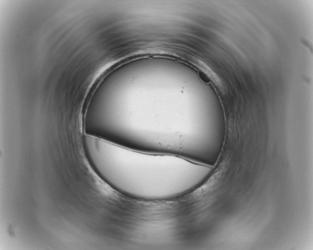 X0000096410988200801241021
