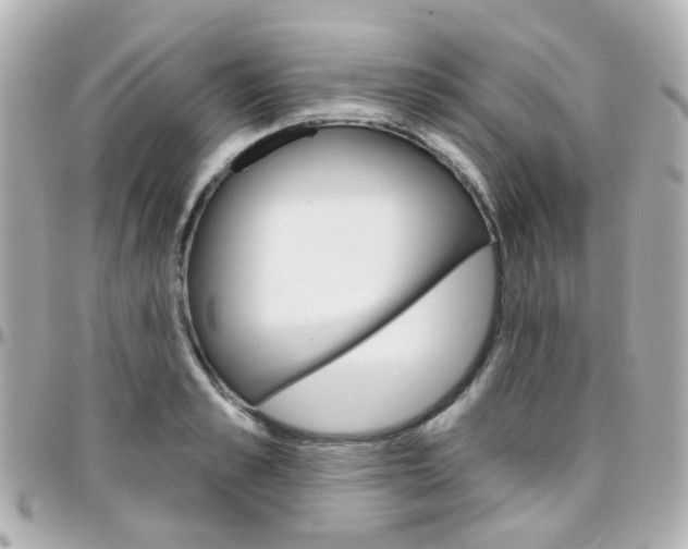 X0000096410989200801241021