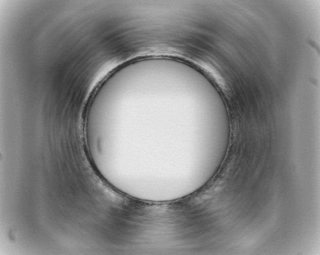 X0000096410990200801241021