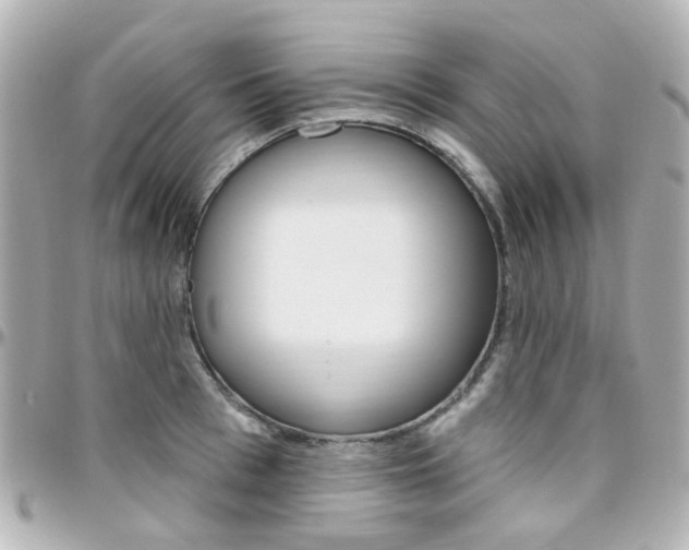 X0000096410993200801241021