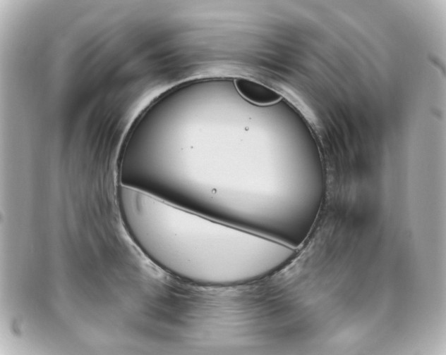 X0000096410996200801241021