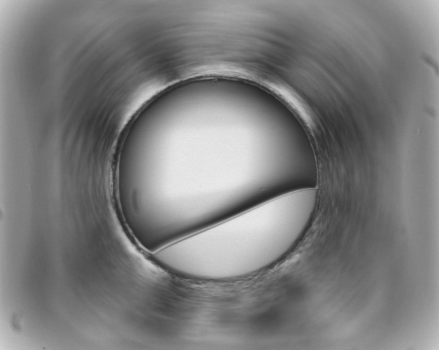 X0000096410999200801241021