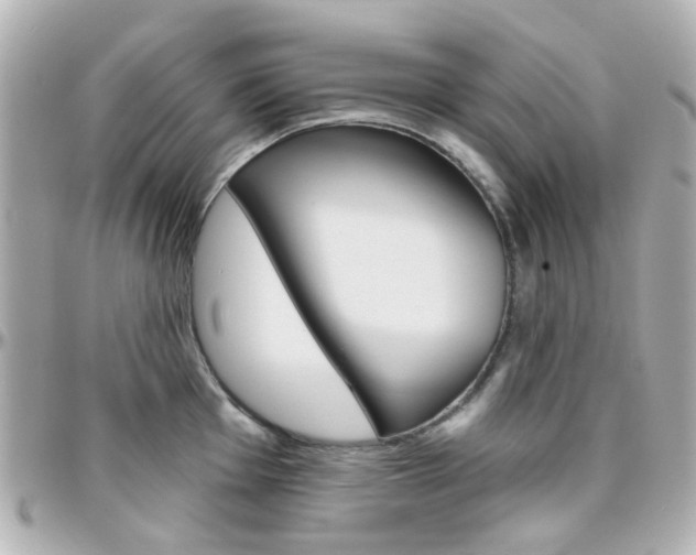 X0000096411001200801241021