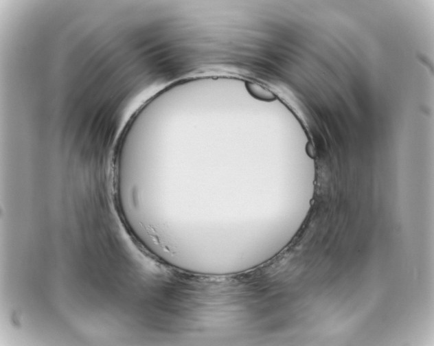 X0000096411003200801241021