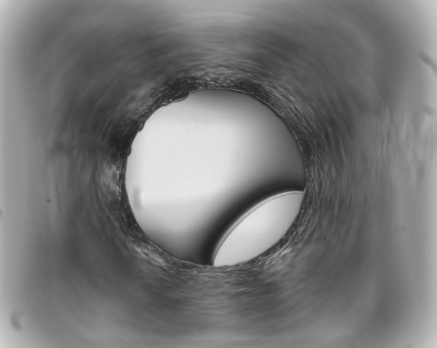 X0000096411010200801241020