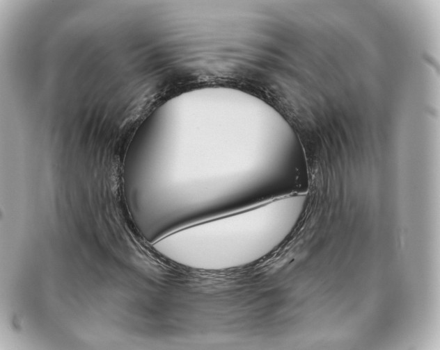 X0000096411012200801241020