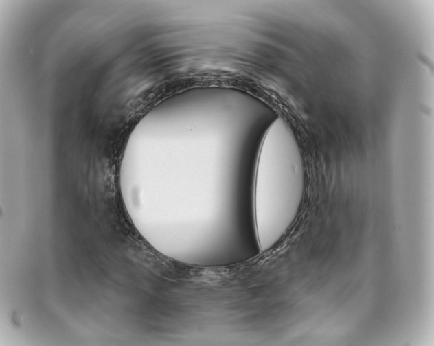 X0000096411013200801241020