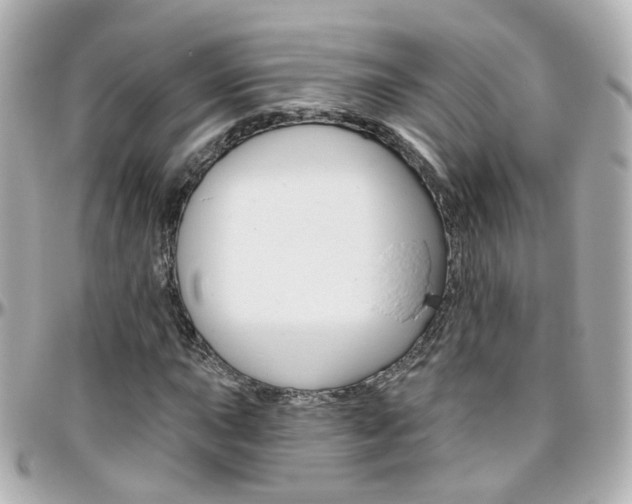 X0000096411015200801241020