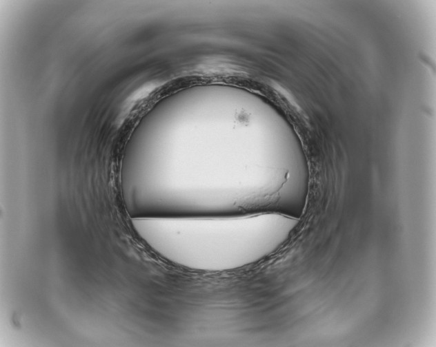 X0000096411016200801241020