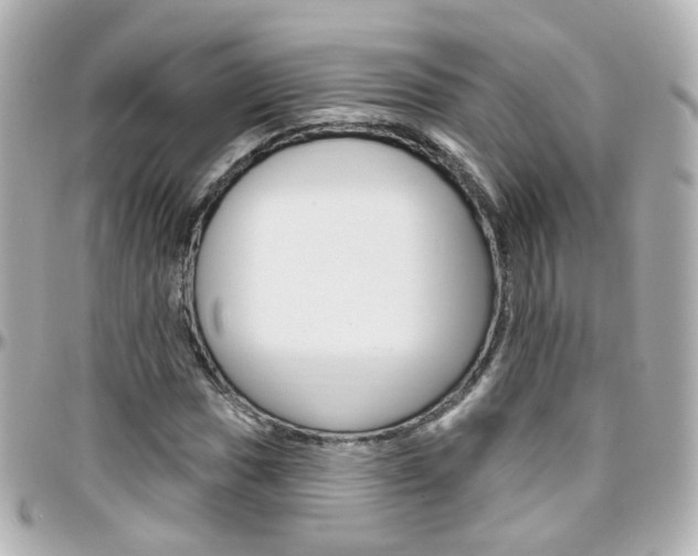 X0000096411017200801241020