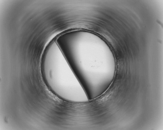 X0000096411020200801241020