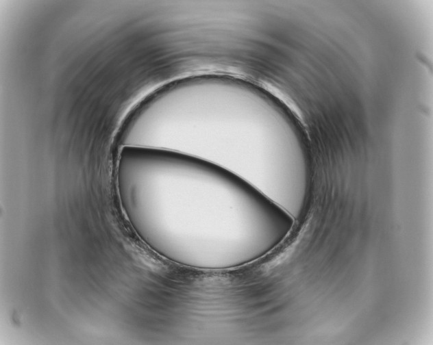 X0000096411021200801241020