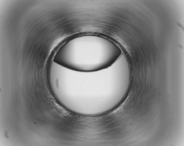 X0000096411022200801241020