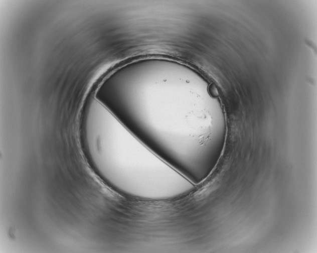 X0000096411024200801241020