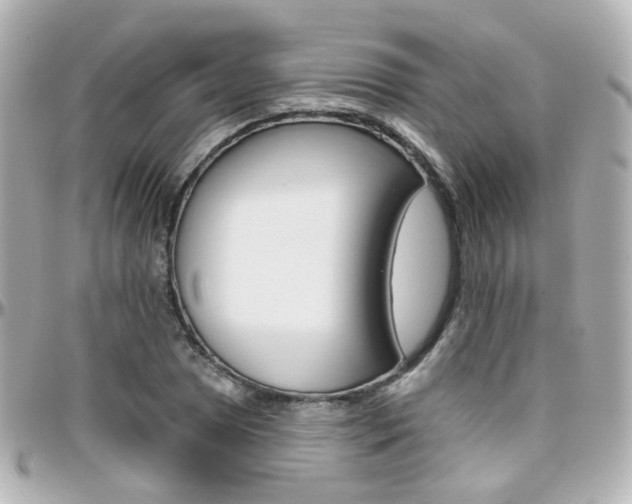 X0000096411025200801241020