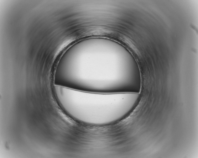 X0000096411026200801241021