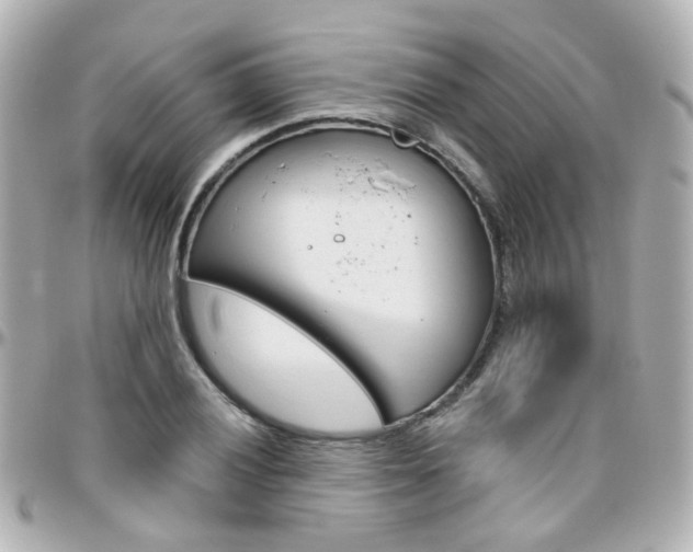 X0000096411028200801241021