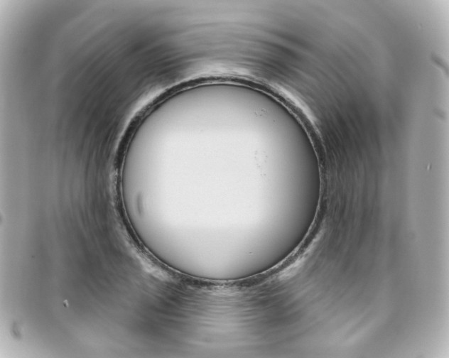X0000096411029200801241021