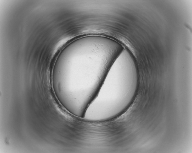 X0000096411030200801241021