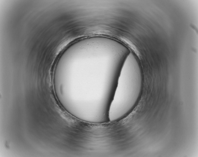 X0000096411031200801241021