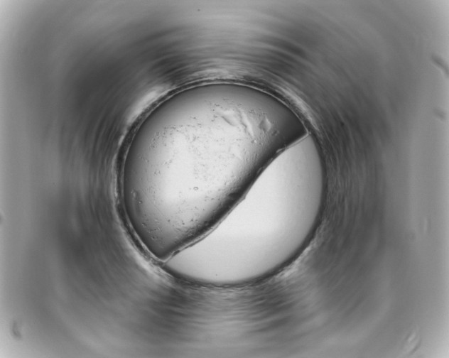 X0000096411034200801241021