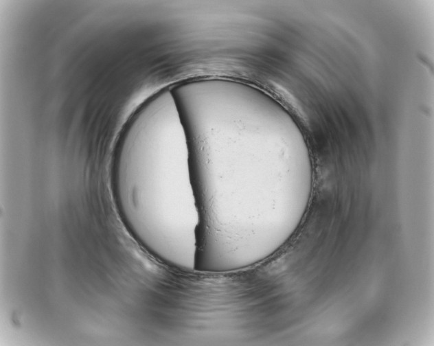 X0000096411035200801241021