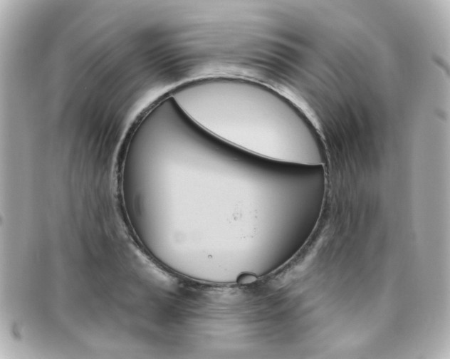 X0000096411037200801241021