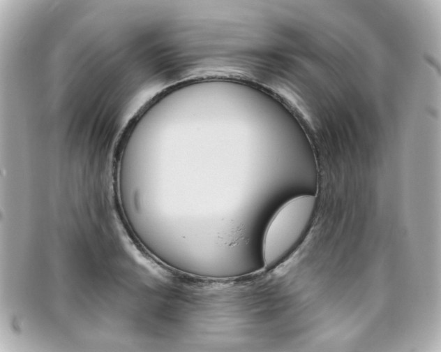 X0000096411038200801241021