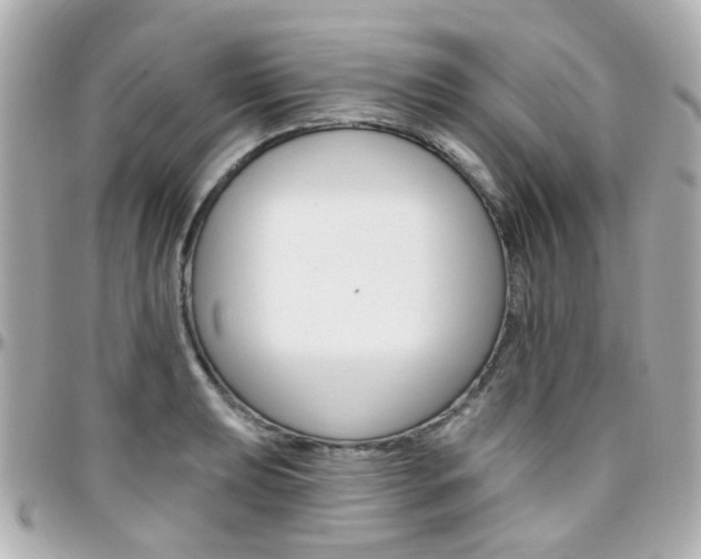X0000096411039200801241021