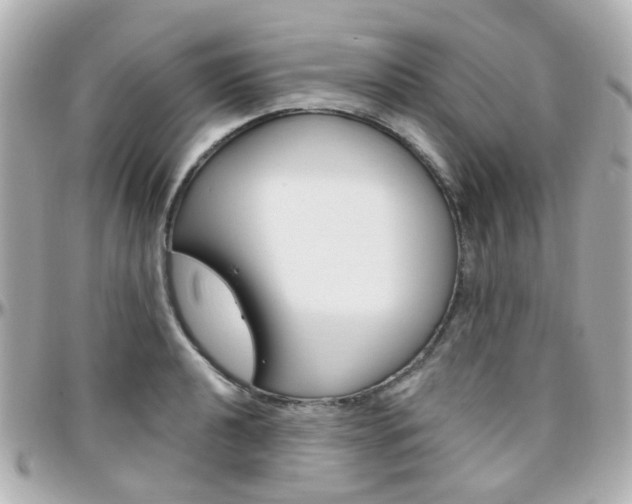 X0000096411040200801241021