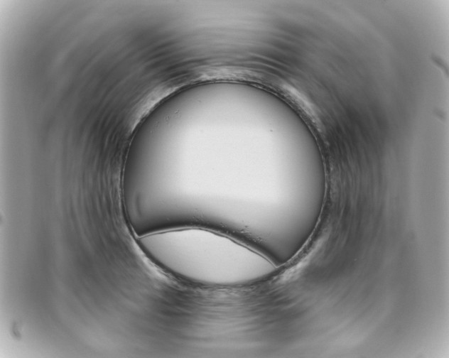 X0000096411041200801241021