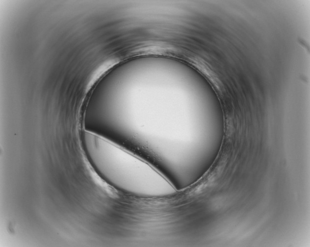 X0000096411042200801241021