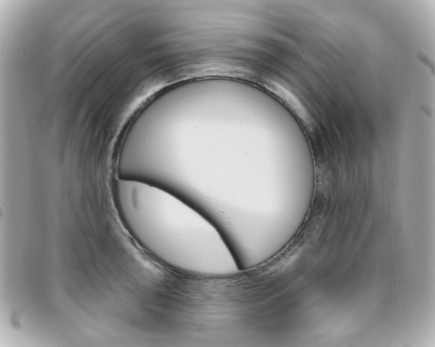 X0000096411043200801241021